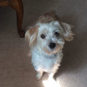 Meet your Posher, Debra